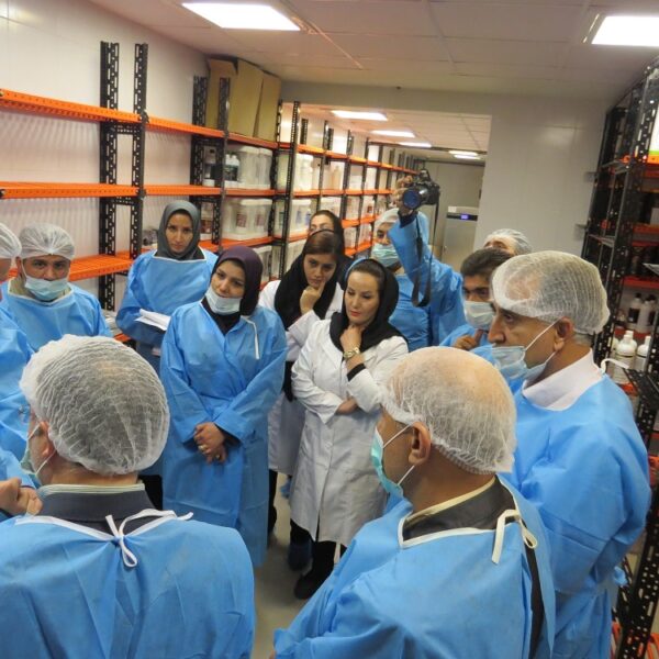 داروسازی فارمازند