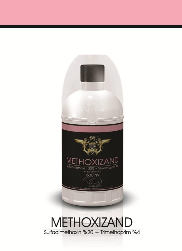 متوکسی -min متوکسی زند-methoxizand